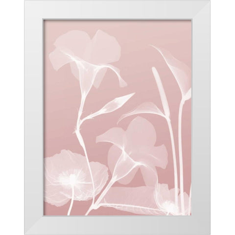 Pink Flora 4 White Modern Wood Framed Art Print by Koetsier, Albert