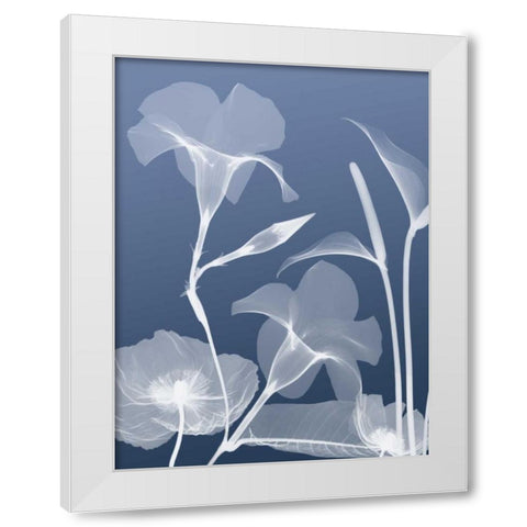 Transparent Flora 4 White Modern Wood Framed Art Print by Koetsier, Albert