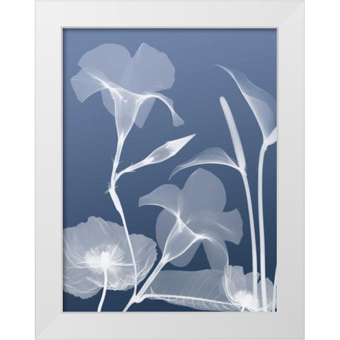 Transparent Flora 4 White Modern Wood Framed Art Print by Koetsier, Albert