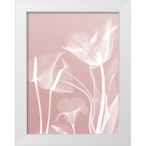 Pink Flora 5 White Modern Wood Framed Art Print by Koetsier, Albert