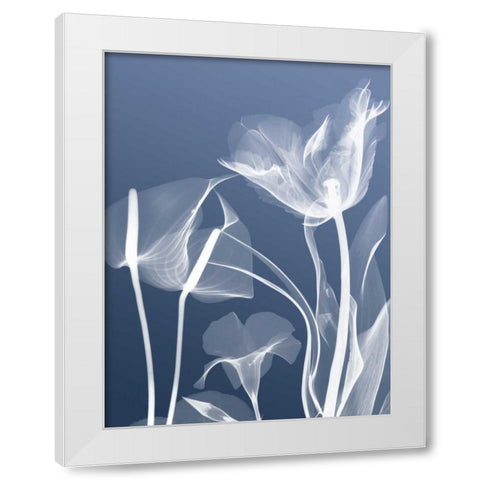 Transparent Flora 5 White Modern Wood Framed Art Print by Koetsier, Albert