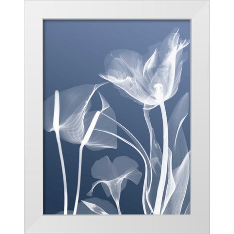 Transparent Flora 5 White Modern Wood Framed Art Print by Koetsier, Albert