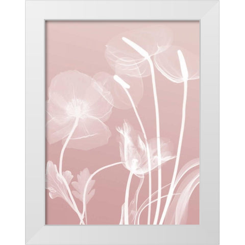 Pink Flora 6 White Modern Wood Framed Art Print by Koetsier, Albert