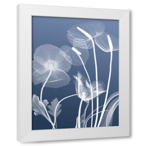 Transparent Flora 6 White Modern Wood Framed Art Print by Koetsier, Albert