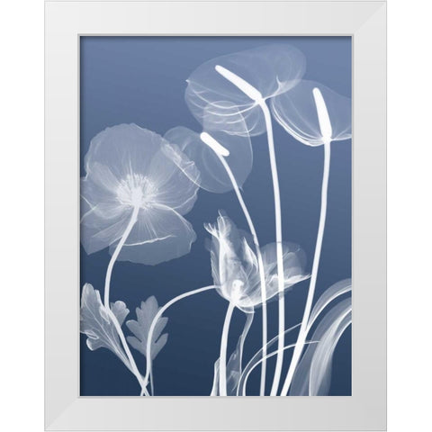 Transparent Flora 6 White Modern Wood Framed Art Print by Koetsier, Albert