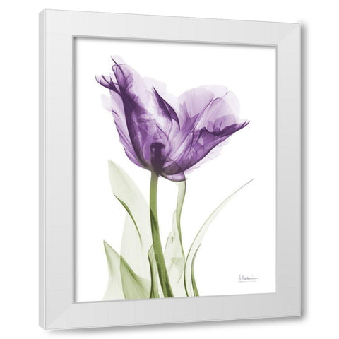 Lavender Trance White Modern Wood Framed Art Print by Koetsier, Albert