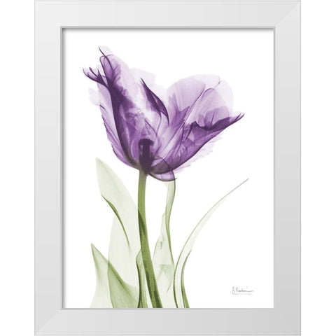 Lavender Trance White Modern Wood Framed Art Print by Koetsier, Albert