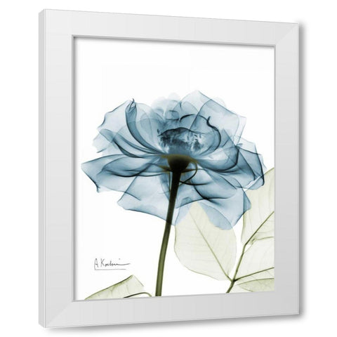 Teal Rose White Modern Wood Framed Art Print by Koetsier, Albert