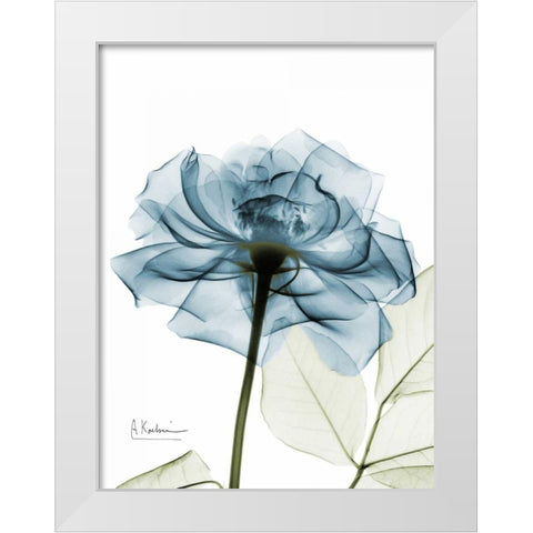 Teal Rose White Modern Wood Framed Art Print by Koetsier, Albert