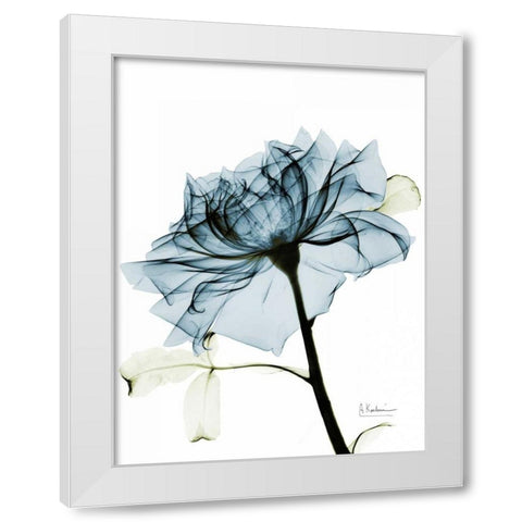 Teal Rose 2 White Modern Wood Framed Art Print by Koetsier, Albert