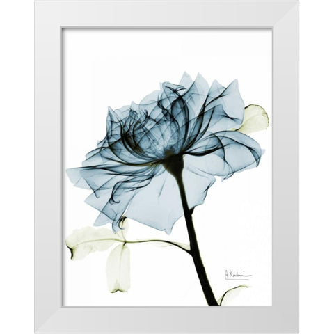 Teal Rose 2 White Modern Wood Framed Art Print by Koetsier, Albert