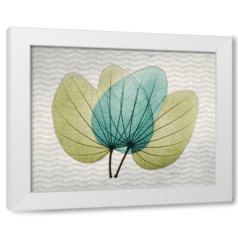 Citrus Orchid Tree White Modern Wood Framed Art Print by Koetsier, Albert