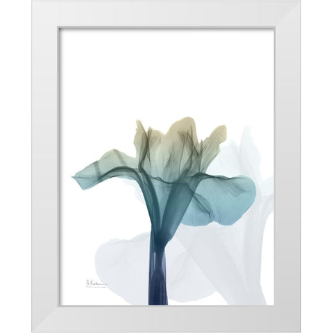 Ombre Expression 6 White Modern Wood Framed Art Print by Koetsier, Albert