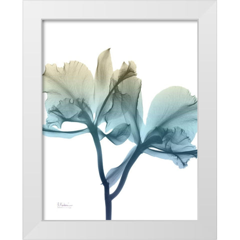 Ombre Expression 8 White Modern Wood Framed Art Print by Koetsier, Albert