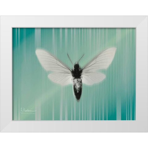 Manduca The Pilot White Modern Wood Framed Art Print by Koetsier, Albert