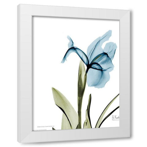 Iris B76 White Modern Wood Framed Art Print by Koetsier, Albert