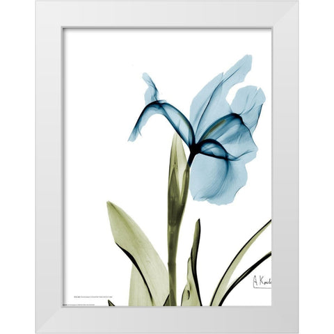 Iris B76 White Modern Wood Framed Art Print by Koetsier, Albert