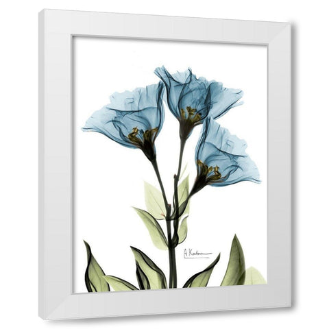 Gentian Sapphire NuetBlue White Modern Wood Framed Art Print by Koetsier, Albert