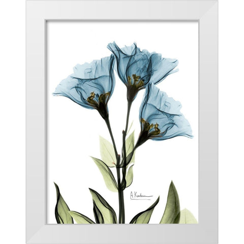 Gentian Sapphire NuetBlue White Modern Wood Framed Art Print by Koetsier, Albert