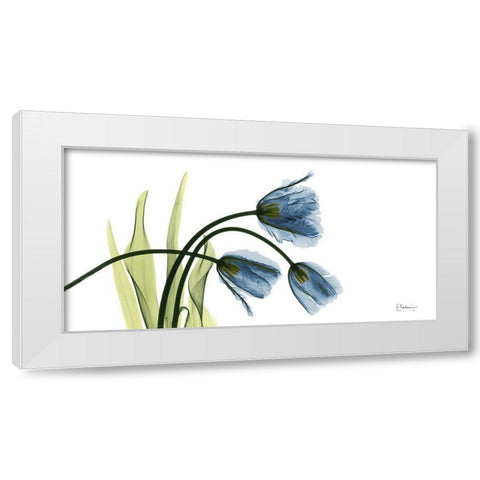 The Three Tulips White Modern Wood Framed Art Print by Koetsier, Albert