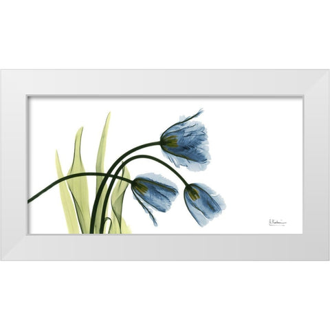 The Three Tulips White Modern Wood Framed Art Print by Koetsier, Albert