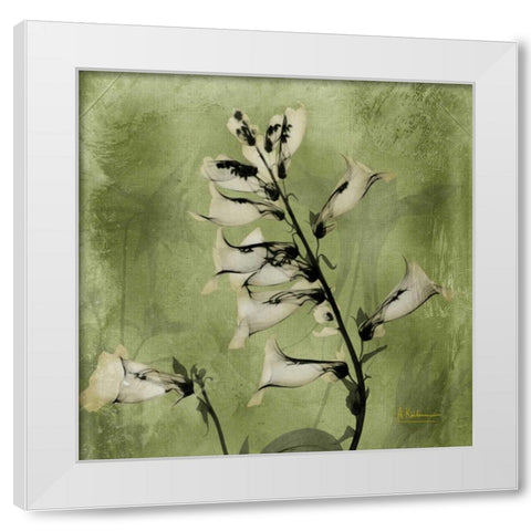 Golden Fox Glove White Modern Wood Framed Art Print by Koetsier, Albert