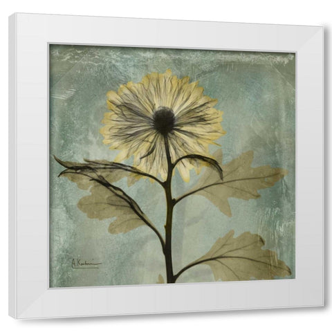 Chrysanthemum White Modern Wood Framed Art Print by Koetsier, Albert