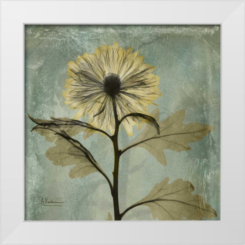 Chrysanthemum White Modern Wood Framed Art Print by Koetsier, Albert