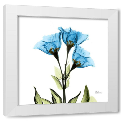 Gentian Sapphire L301 White Modern Wood Framed Art Print by Koetsier, Albert