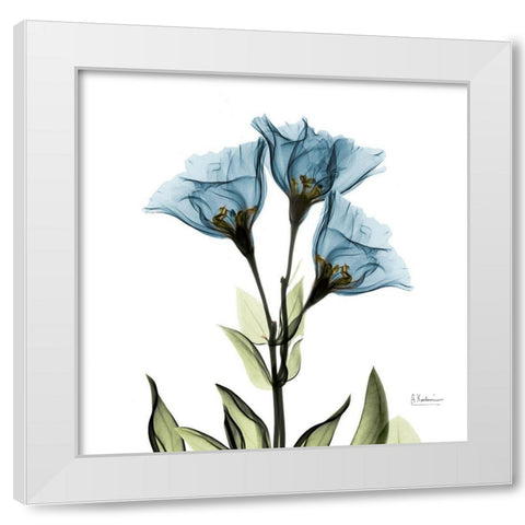 Gentian Azure L301 White Modern Wood Framed Art Print by Koetsier, Albert