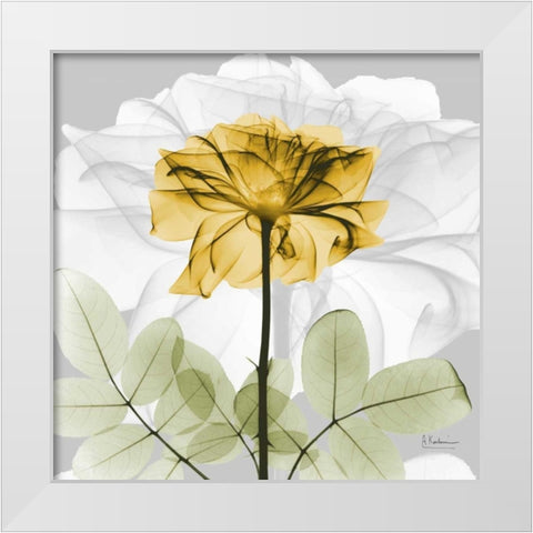 Rose in Gold 1 White Modern Wood Framed Art Print by Koetsier, Albert