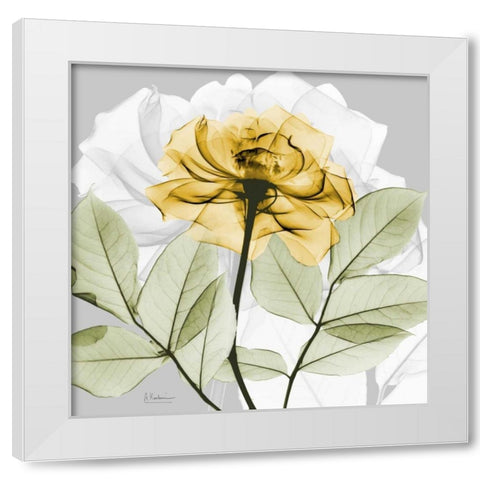 Rose in Gold 3 White Modern Wood Framed Art Print by Koetsier, Albert