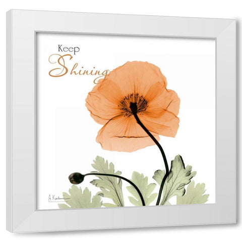 Keep Shining Iceland Poppy White Modern Wood Framed Art Print by Koetsier, Albert