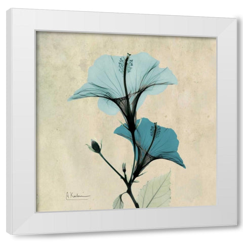 Hibiscus White Modern Wood Framed Art Print by Koetsier, Albert