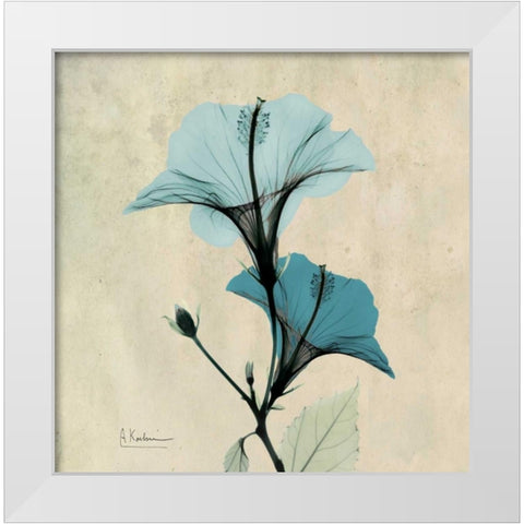 Hibiscus White Modern Wood Framed Art Print by Koetsier, Albert