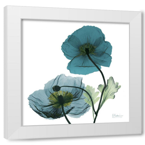 Iceland Poppy W White Modern Wood Framed Art Print by Koetsier, Albert