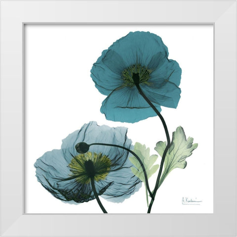 Iceland Poppy W White Modern Wood Framed Art Print by Koetsier, Albert