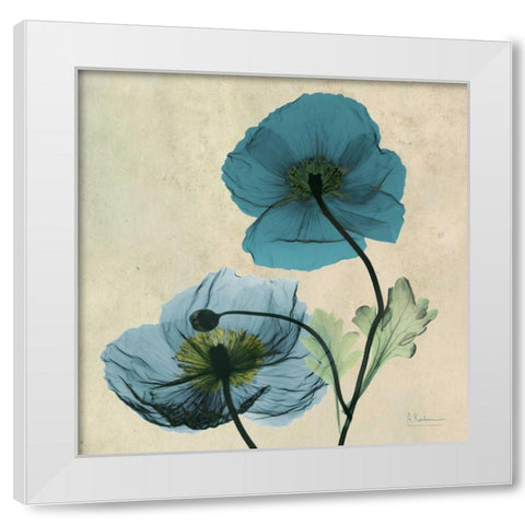 Iceland Poppy White Modern Wood Framed Art Print by Koetsier, Albert