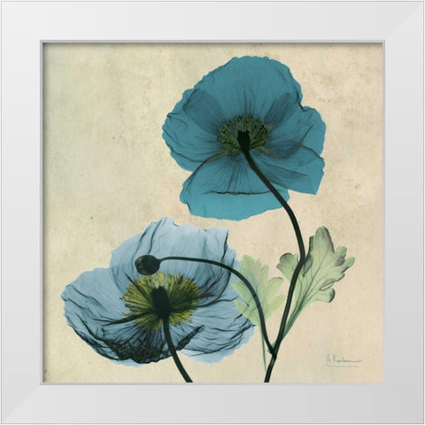 Iceland Poppy White Modern Wood Framed Art Print by Koetsier, Albert