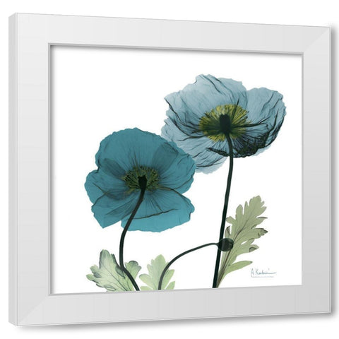 Iceland Poppy W White Modern Wood Framed Art Print by Koetsier, Albert