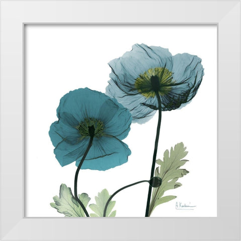 Iceland Poppy W White Modern Wood Framed Art Print by Koetsier, Albert