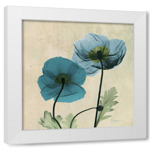 Iceland Poppy White Modern Wood Framed Art Print by Koetsier, Albert