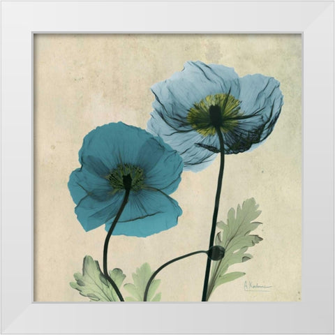 Iceland Poppy White Modern Wood Framed Art Print by Koetsier, Albert