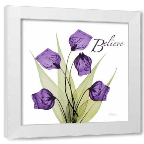 Believe White Modern Wood Framed Art Print by Koetsier, Albert