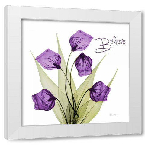 Believe Sandersonia H34 White Modern Wood Framed Art Print by Koetsier, Albert