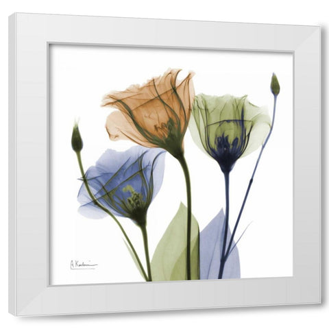 Gentian Buddies White Modern Wood Framed Art Print by Koetsier, Albert