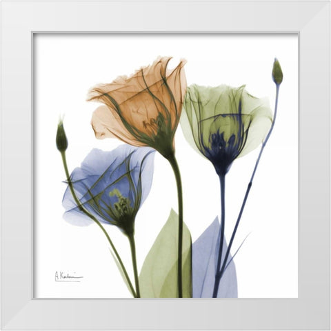 Gentian Buddies White Modern Wood Framed Art Print by Koetsier, Albert