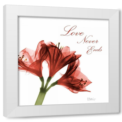 Amaryllis Quote White Modern Wood Framed Art Print by Koetsier, Albert