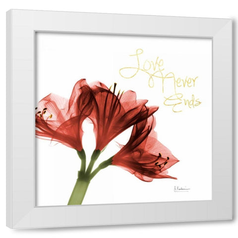 Amaryllis Endless Love White Modern Wood Framed Art Print by Koetsier, Albert