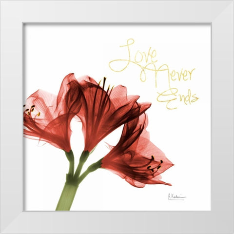 Amaryllis Endless Love White Modern Wood Framed Art Print by Koetsier, Albert